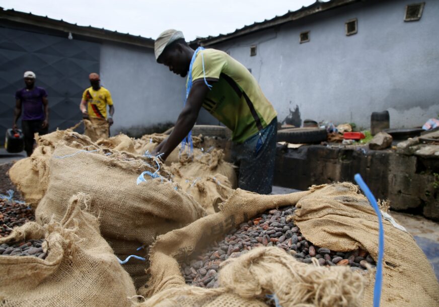 radnici skladište kakao