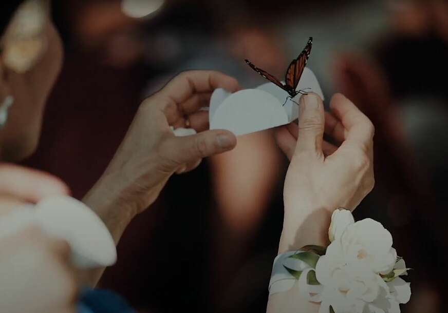 Žena pušta leptira 
