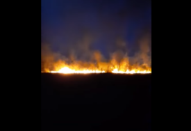 (VIDEO) POŽAR KOD DERVENTE Vatra se raširila usljed jakog vjetra, mještani u strahu