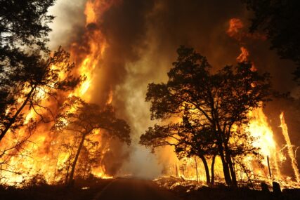 (VIDEO) TEKSAS U PLAMENU Šumski požari se oteli kontroli, stanje katastrofe u 60 oblasti