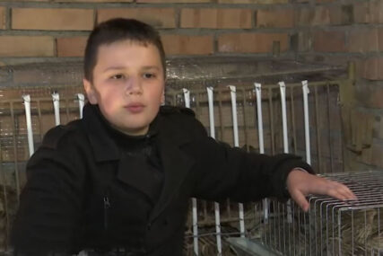 (VIDEO, FOTO) Sa 8 godina pokrenuo BIZNIS IDEJU: Matej (12) je najmlađi uzgajivač živine u Srbij, a ovako je ISKORISTIO PRVI DŽEPARAC
