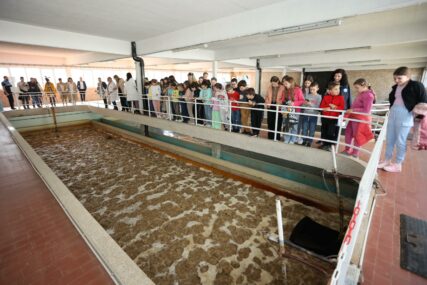 (FOTO) U misiji očuvanja vodnih resursa: Osnovci posjetili Fabriku vode u Novoseliji