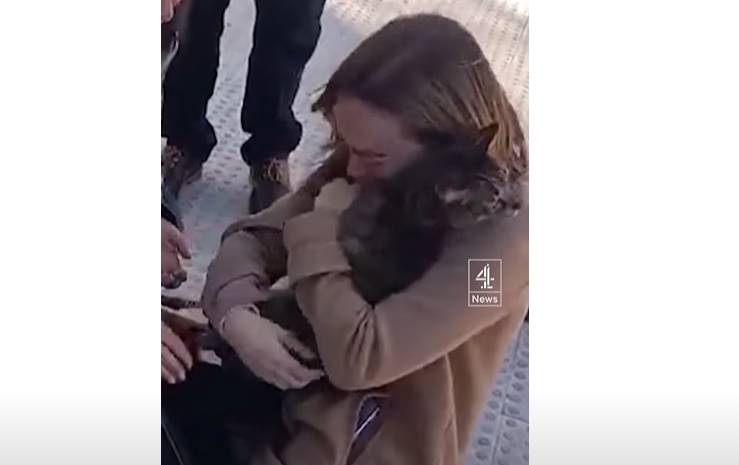 Žena pronašla mačku na zgarištu zgrade