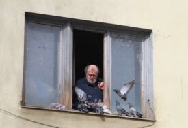 (VIDEO, FOTO) Prizor u Banjaluci ostavlja bez riječi: Uz mrvice suvog hljeba golubovi postaju jako dobri prijatelji