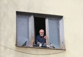 (FOTO) Ako vam ptice često slijeću na prozor, obratite pažnju: Vjeruje se da to nije slučajno