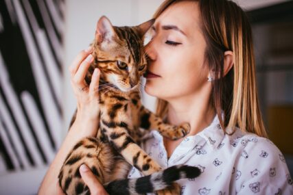 MALI KRZNENI TERAPEUTI Mačke nam mogu pomoći u borbi sa stresom