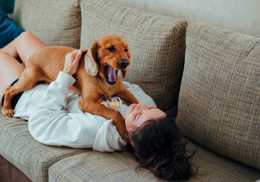 Pas i djevojka na kauču
