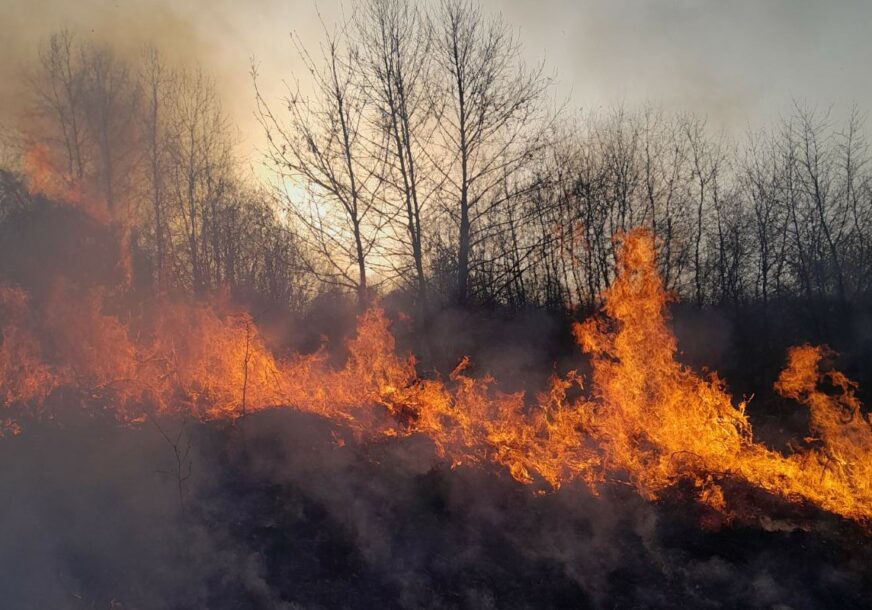 (FOTO) Jak vjetar im odmagao: Milićki vatrogasci gasili šumu i sadnice, USPJELI DA ODBRANE KUĆE