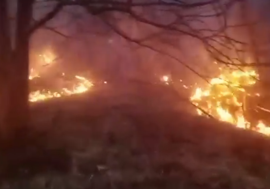VELIKI POŽAR NA BJELAŠNICI Vatrogasci pokušavaju obuzdati širenje vatre na okolna područja