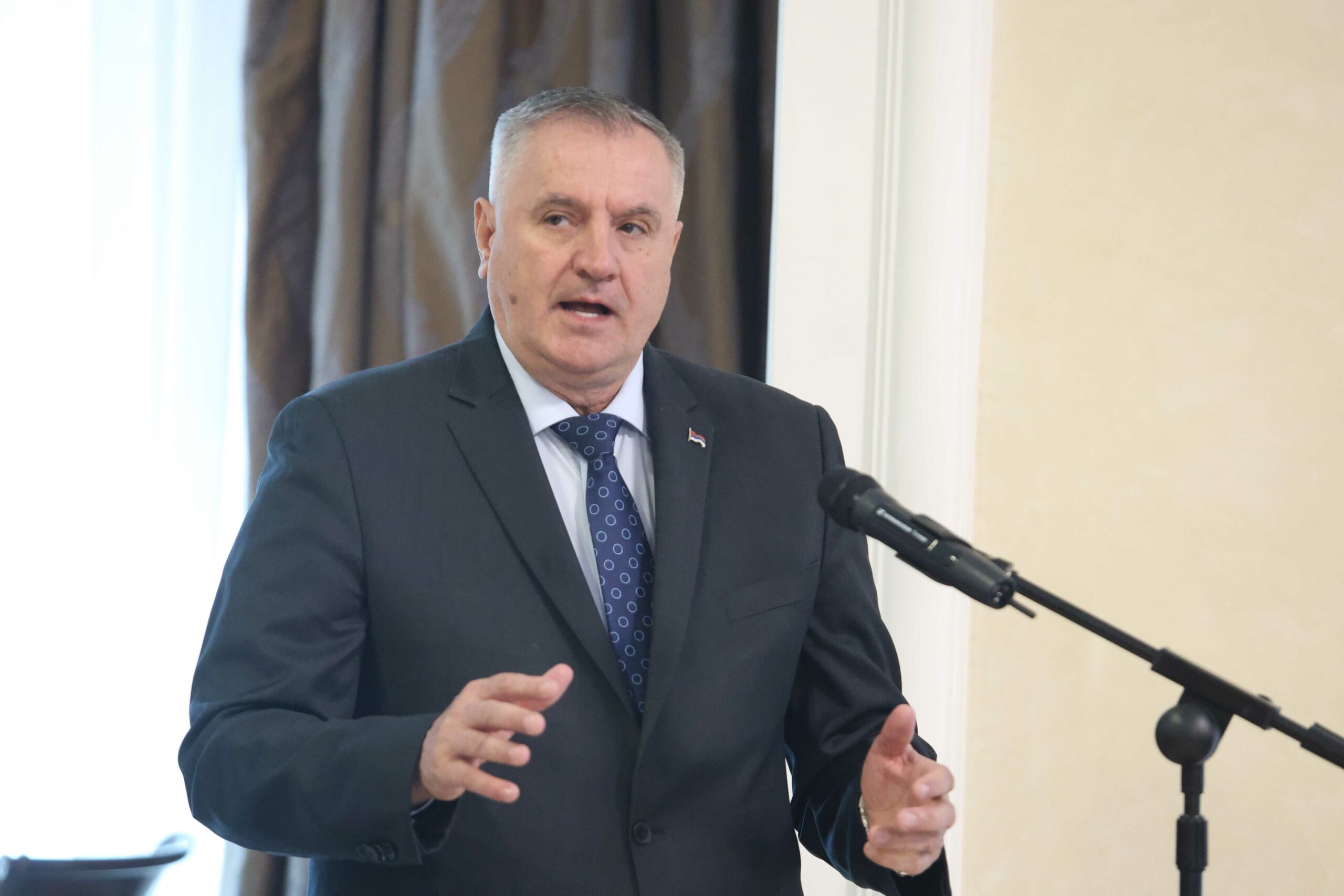 GUBITNIK DANA Radovan Vi kovi 