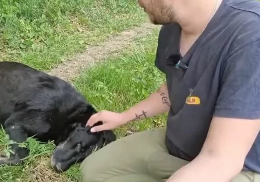 Povrijeđenog mladića spasao pas