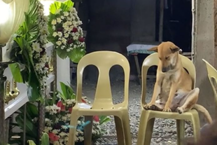 (VIDEO) "Još samo kad bi mogao da priča" Pas bdi KRAJ KOVČEGA SVOJE VLASNICE, iako više nije u stanju da sjedi