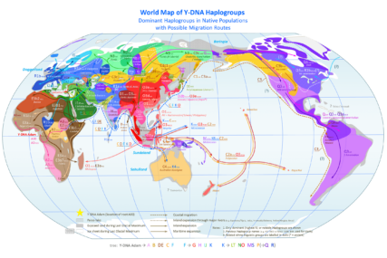 mapa haplogrupa