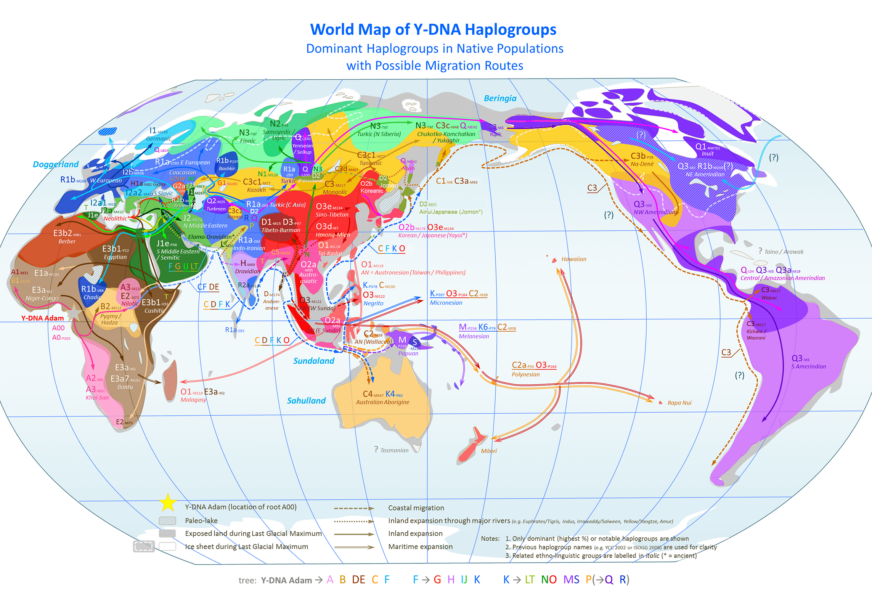 mapa haplogrupa