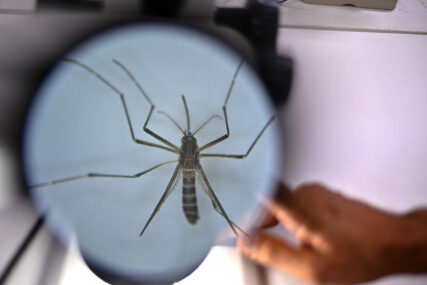 INVAZIJA KOMARACA Malarija i denga se šire u Evropi zbog globalnog otopljenja