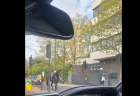 (VIDEO) Zbacili jahače pa izazvali haos: Konji UMAZANI KRVLJU jure ulicama Londona