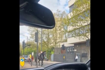 (VIDEO) Zbacili jahače, pa izazvali haos: Konji UMAZANI KRVLJU jure ulicama Londona
