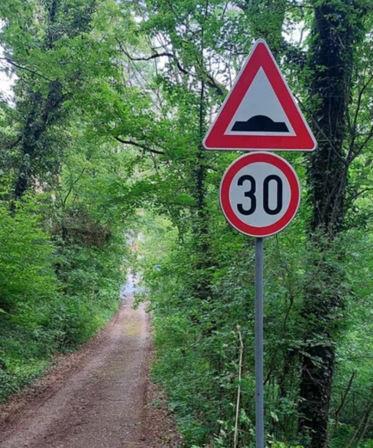 Saobraćajni znak i šumski put
