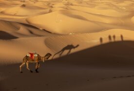 (FOTO) VRUĆA PUSTINJA Sahara je najveće suvo područje na Zemlji, a u nekim područjima temperatura raste i preko 50 stepeni
