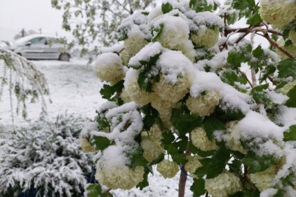 (FOTO) Aprilski snijeg stigao u BiH! Bijeli pokrivač u nekoliko opština u Krajini, voćari se hvataju za glavu