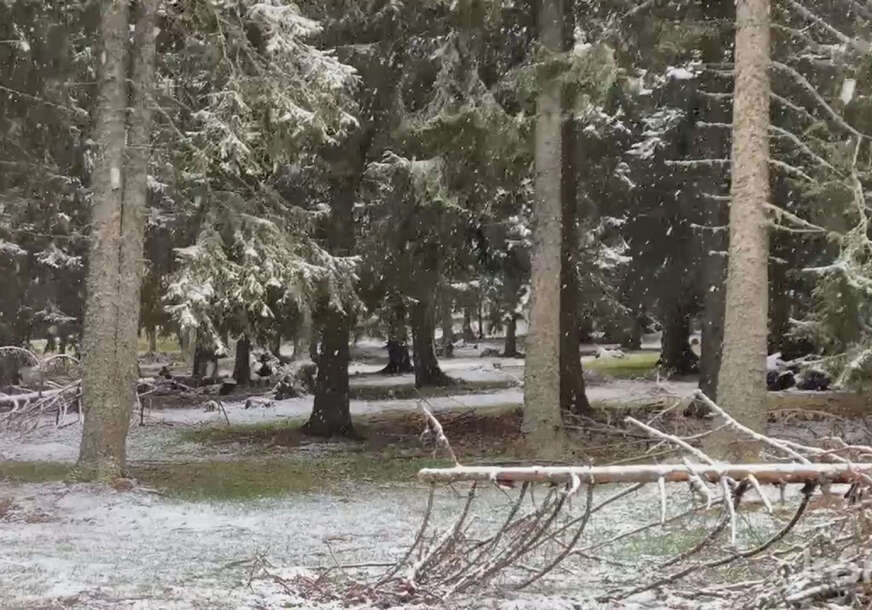 snijeg na Goliji