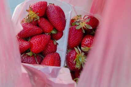 Paprena cijena slatkih plodova: Domaće jagode stigle ranije, brojnim građanima nedostižne, KUPUJU NA GRAME