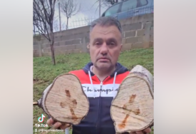 (VIDEO) Pojava koja nikoga nije ostavila RAVNODUŠNIM: Bošku sa Manjače se UKAZAO KRST kada je presjekao drvo