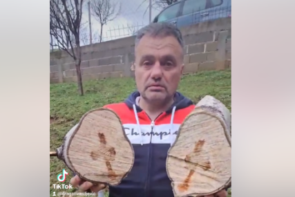 (VIDEO) Pojava koja nikoga nije ostavila RAVNODUŠNIM: Bošku sa Manjače se UKAZAO KRST kada je presjekao drvo