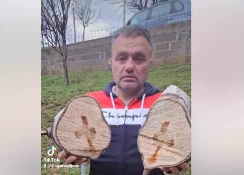(VIDEO) Pojava koja nikoga nije ostavila RAVNODUŠNIM: Bošku sa Manjače se UKAZAO KRST kada je presjekao drvo