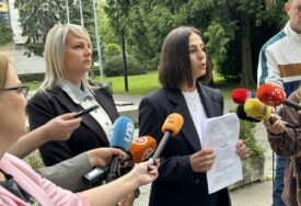 „Vlast popustila pod pritiskom“ Vukomanovićeva i Savić-Banjac pitaju da li su riješeni problemi nasilja u porodici, pa nam zakon više ne treba