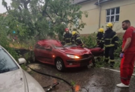 Žena na mjestu OSTALA MRTVA: Drvo palo na AUTOMOBIL, teško nevrijeme pogodilo Srbiju