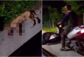 (UZNEMIRUJUĆI VIDEO) Svirepo ubistvo u Zvorniku: Zakačio psa za skuter i vukao ga, dok životinja nije uginula