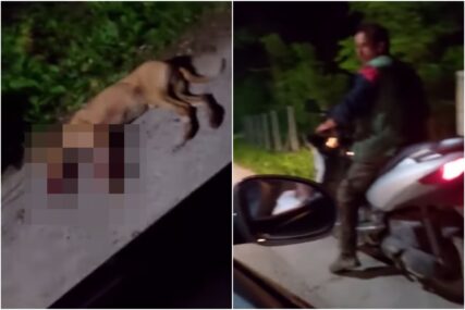 (VIDEO, FOTO) Svirepo ubistvo u Zvorniku: Zakačio psa za skuter i vukao ga, dok životinja nije uginula