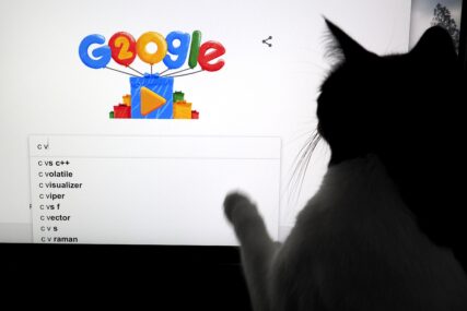 mačka pred ekranom kompjutera