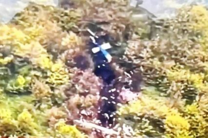 (VIDEO, FOTO) OD LETJELICE OSTAO SAMO PLAVO-BIJELI REP Prvi snimci pada helikoptera iranskog predsjednika
