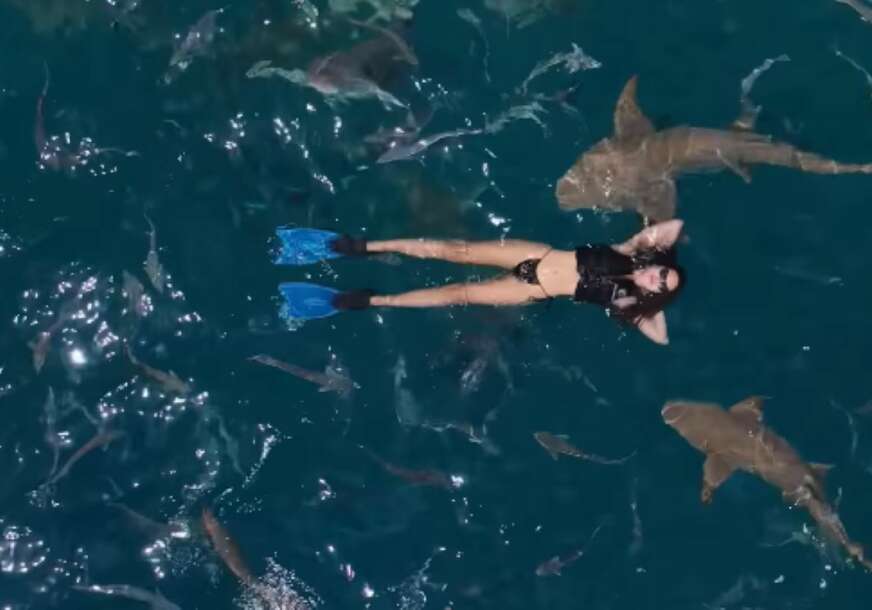 (VIDEO) PLIVA SA AJKULAMA Hrabra glumica Olja Lević objavila snimak na koji malo ko ostaje ravnodušan