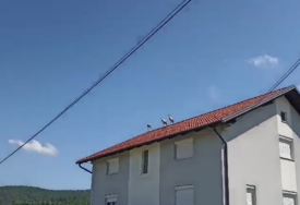 (VIDEO) Simbol napretka, rodnosti i plodnosti: Tri rode sletjele na krov kuće u banjalučkom naselju  Debeljaci