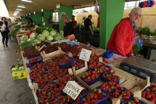 trešnje i jagode na tržnici u banjaluci 