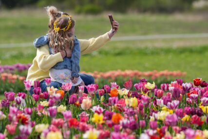 (FOTO) Omogućeno im je i da uberu buket: Posjetioci uživaju u farmi tulipana u Pehlemu