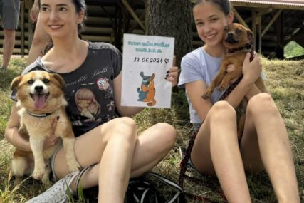 Dan otvorenih vrata u azilu na Manjači: Sugrađani se družili sa ljubimcima, šetali ih i hranili, a neki od pasa našli su i svoje NOVE VLASNIKE