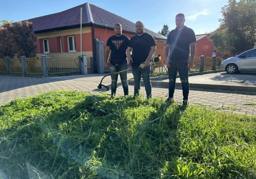 mladi SPS pokosili travu kod Muzičke škole