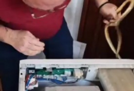 (VIDEO, FOTO) Stravičan prizor u Vranju: Dvije zmije nađene u veš mašini, a ima ih i u krevetima i frižiderima