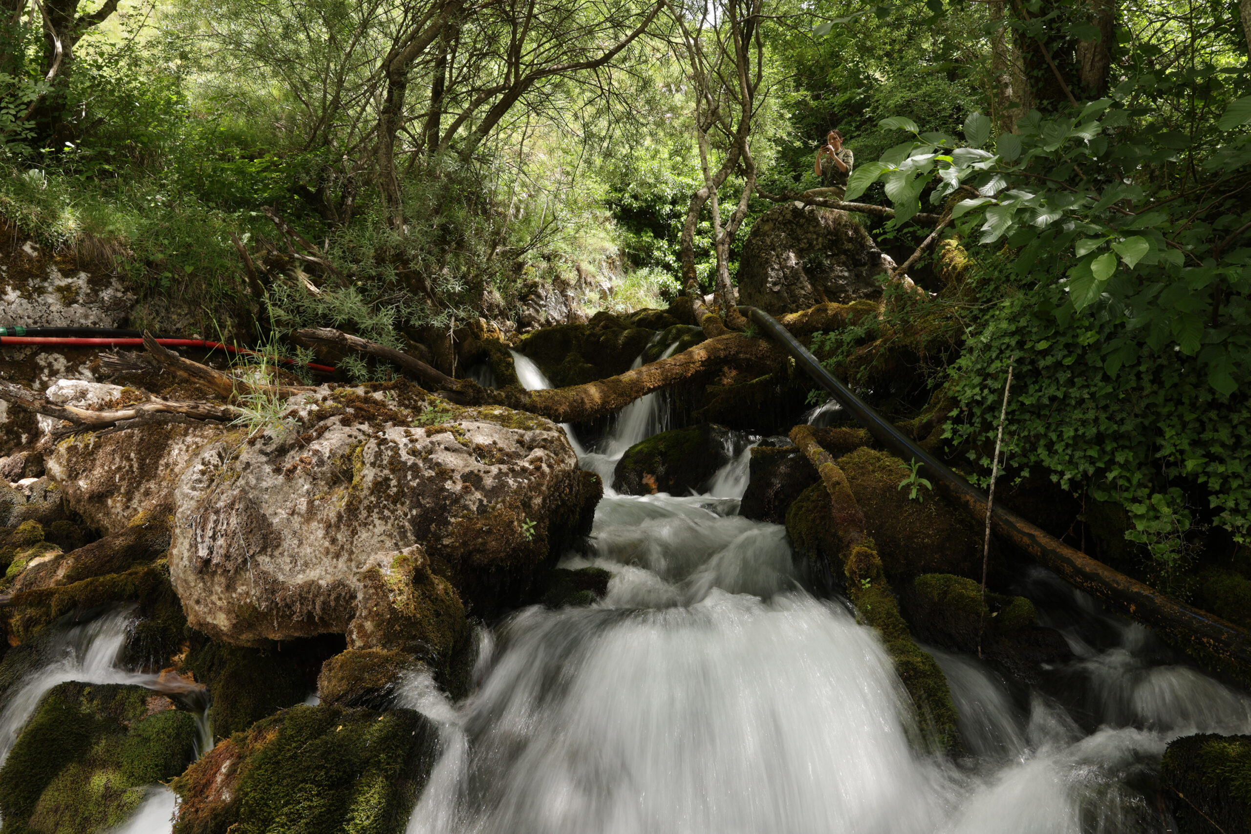 Pomor ribe u Neretvi, a HE Ulog opet traži ako dozvolu