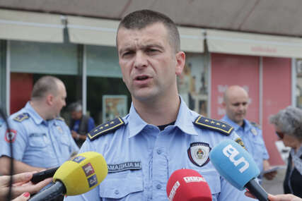GUBITNIK DANA Milan Salamadija
