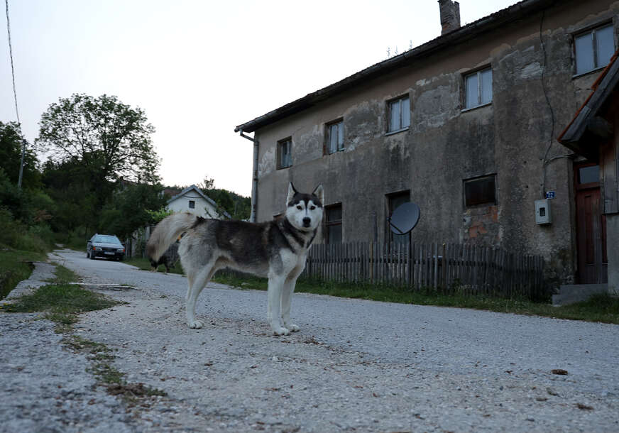 mjesto ulog 