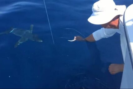 (VIDEO) Hit snimak morskog psa i ribara s Jadrana "Ovo može samo onaj ko voli beštije"
