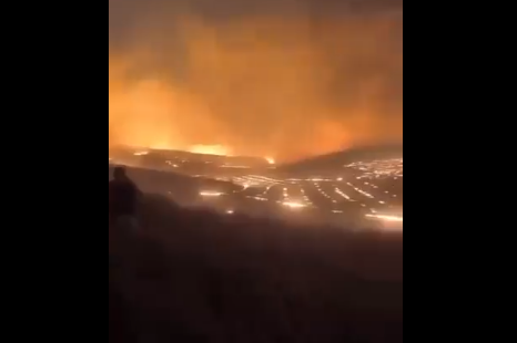 Požar u Turskoj
