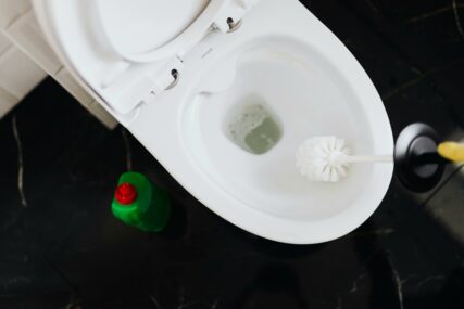 čišćenje WC šolje