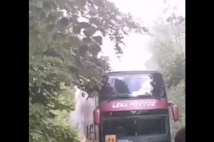 (VIDEO) "Uviđaj je u toku" Dačić poručio da je ugašen požar na autobusu koji je prevozio učenike, u vozilu bilo 76 putnika