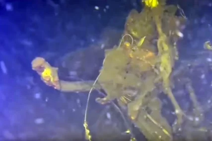 (VIDEO, FOTO) Olupina pronađena nakon 53 godine: Misterija NESTALOG AVIONA konačno razriješena, porodice žrtava u šoku